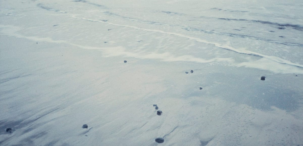 Yoga Nidra: held by the elements