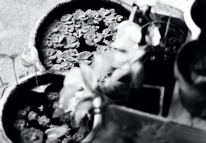 Yoga Nidra: winter stillness' 24